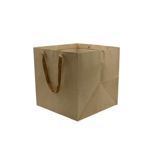 Paper Bag