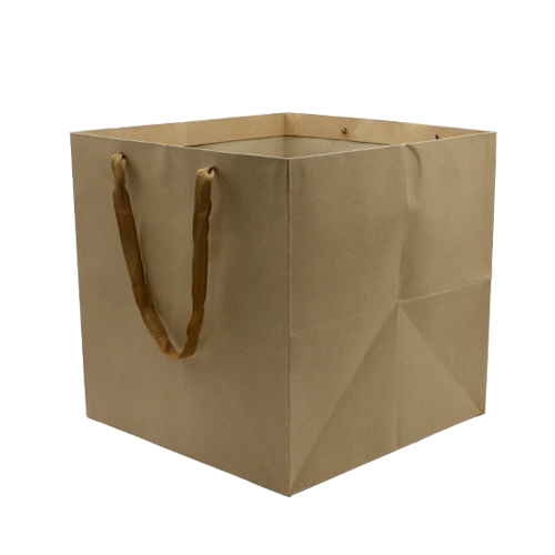 Paper Bag