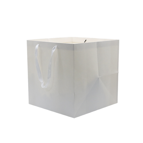 Paper Bag