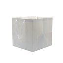 Paper Bag
