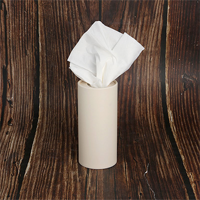 Tissue Box