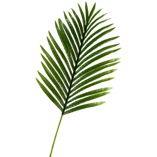 Artificial Leaves