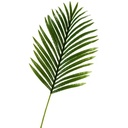 Artificial Leaves