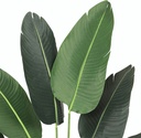 planting Pot S Size