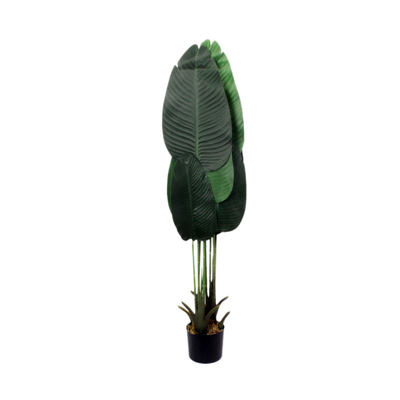 planting Pot S Size