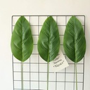 Artificial Leaves