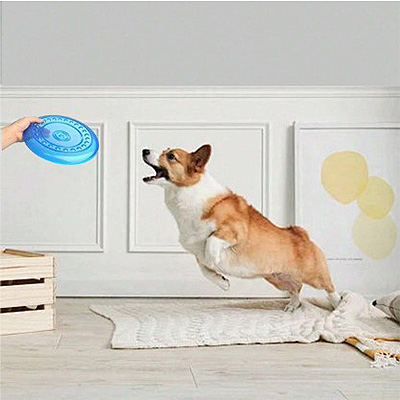 Dog Flying Disc