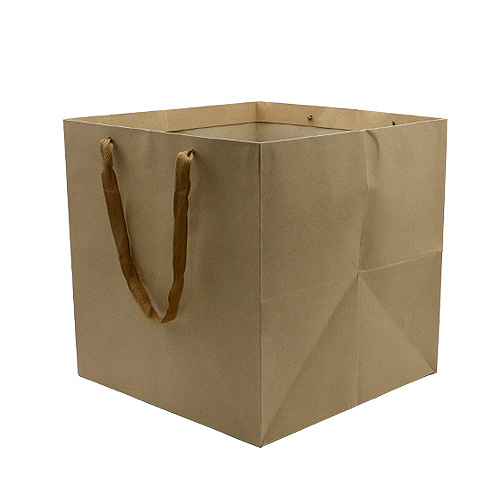 Paper Bag