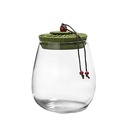 علبة زجاجية