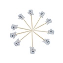 سيخ الفاكهة