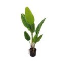 Artificial plant
