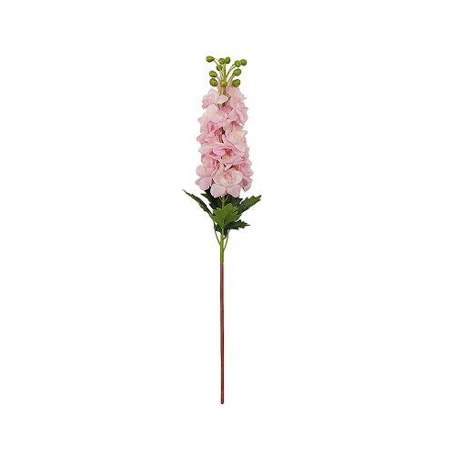 ورد