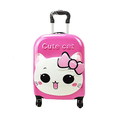 Travel Bag