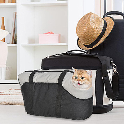 Pet Carrier Bag