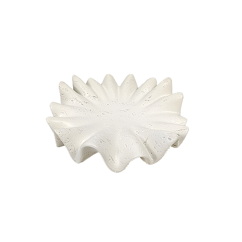 ستاند تقديم