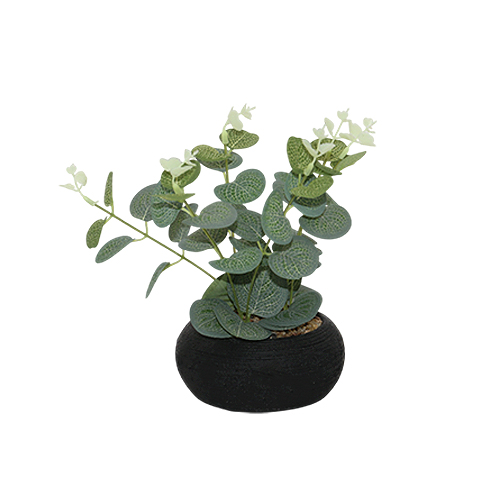 Planting Pot