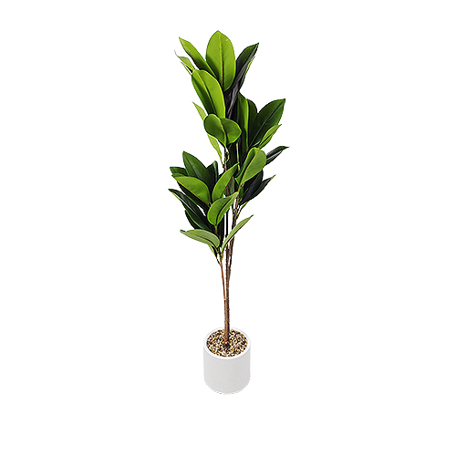 Planting Pot