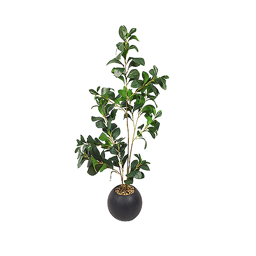 Planting Pot
