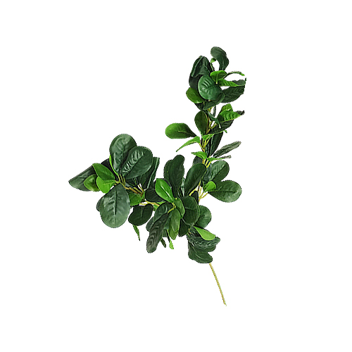 Artificial leaf