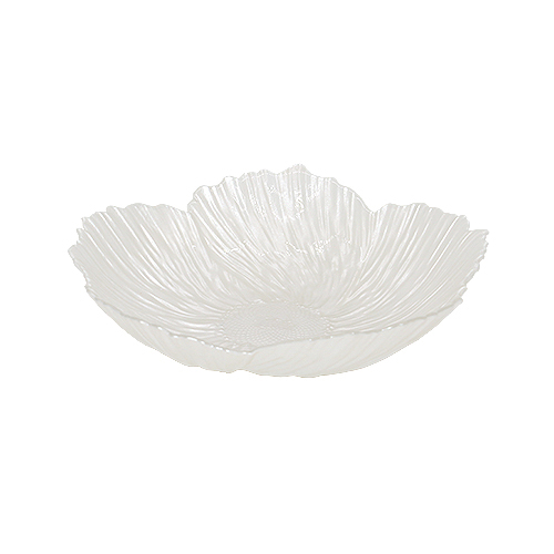 Glass Plate