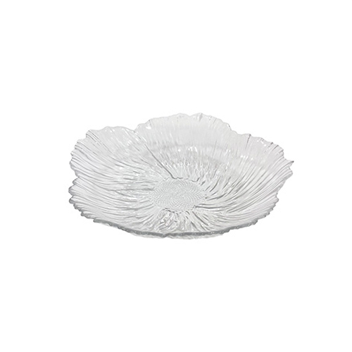 Glass Plate