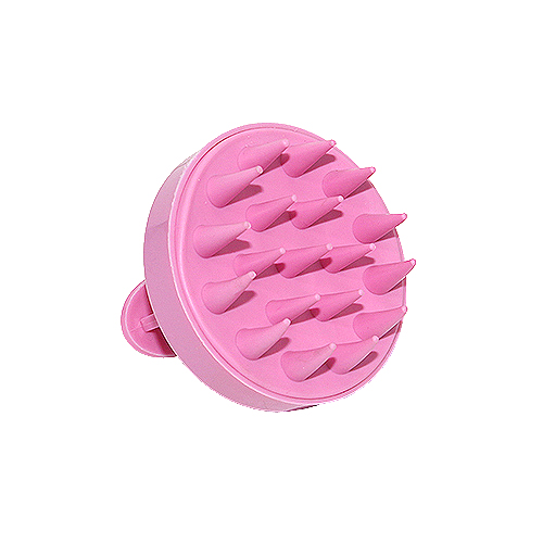 Brush