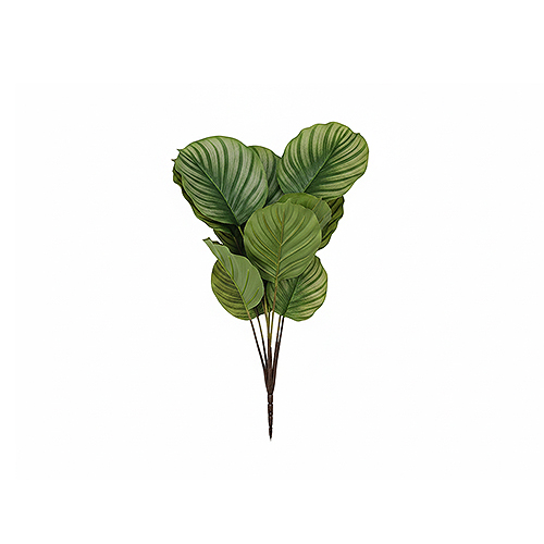 Artificial Leaf