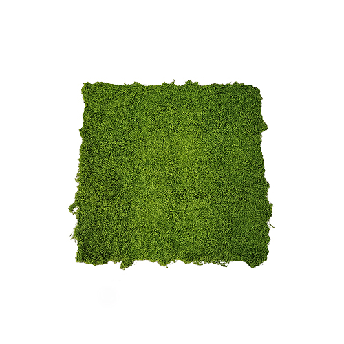 Artificial Grass
