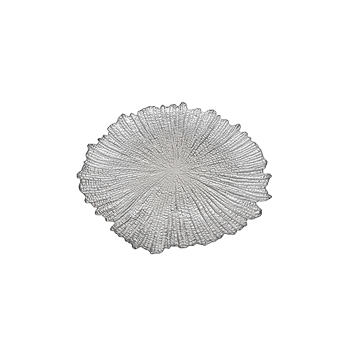 Glass Plate