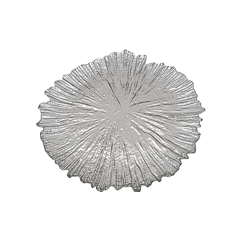 Glass Plate