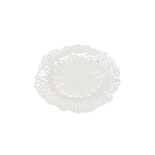 Glass Plate