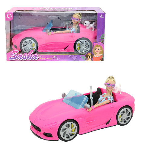 11.5 inch Barbie with Accessories