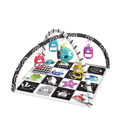 Baby Play Mat