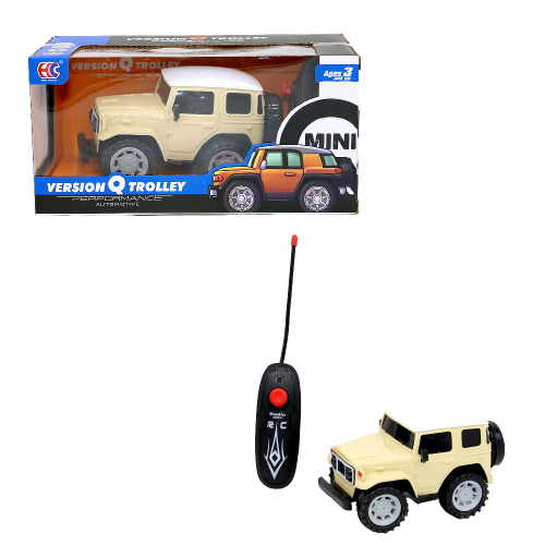 2 Function RC Racing Car