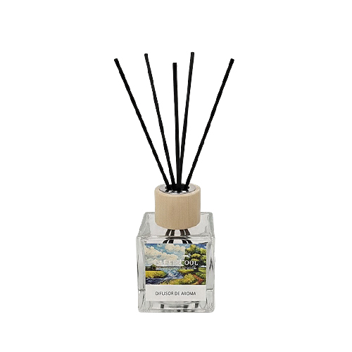 Diffuser