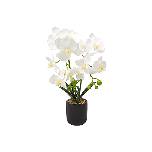 Artificial Plant