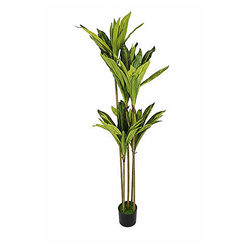 Artificial Plant