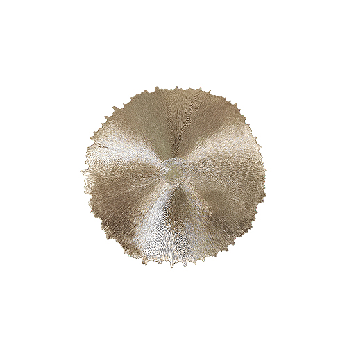 Place Mat