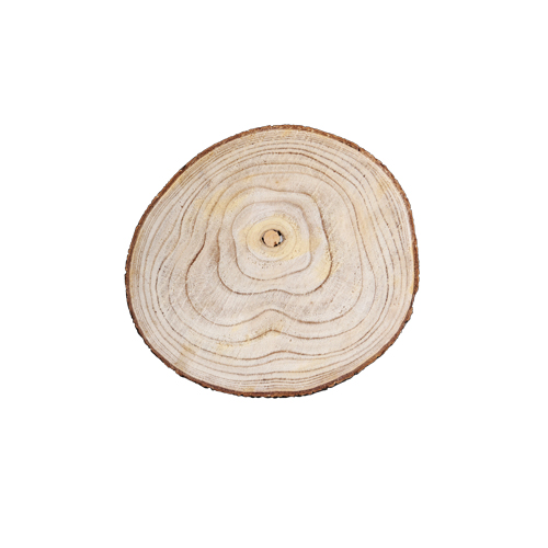 Wood Plate