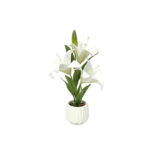 Artificial Plants
