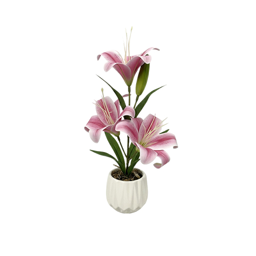 Artificial Plants