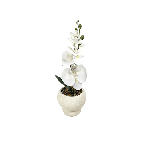 Artificial Plants
