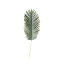 Artificial Leaves