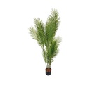 Artificial plant