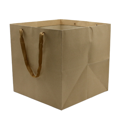 Paper Bag