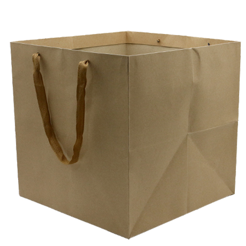 Paper Bag