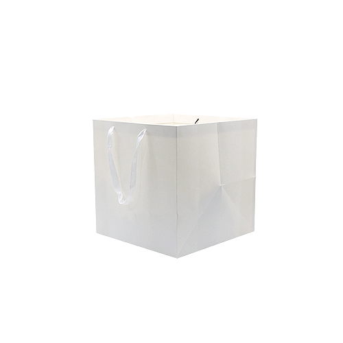 Paper Bag