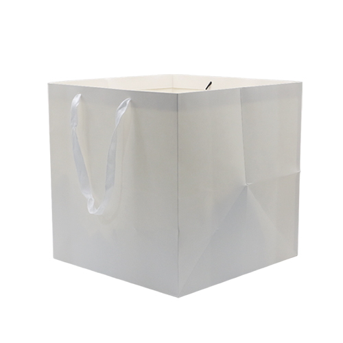 Paper Bag