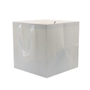 Paper Bag