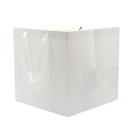 Paper Bag